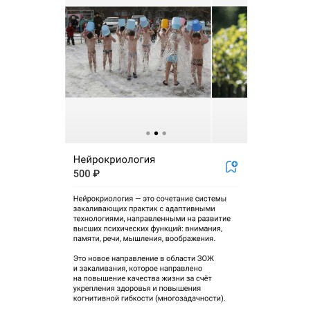 Нейрокриология 